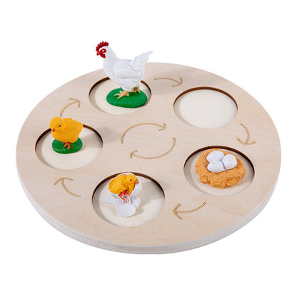 Children's Life Cycle Wooden Puzzle Toy