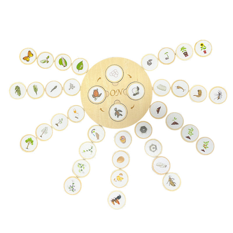 Children's Life Cycle Wooden Puzzle Toy