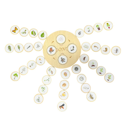 Children's Life Cycle Wooden Puzzle Toy