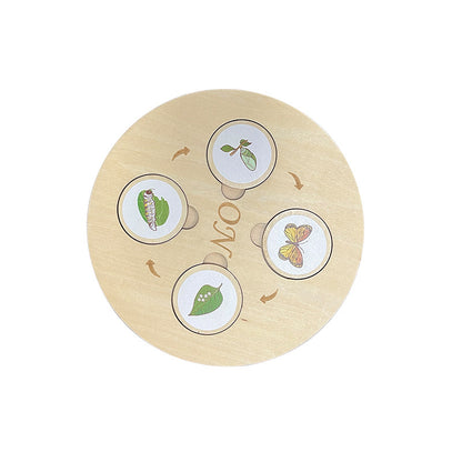 Children's Life Cycle Wooden Puzzle Toy