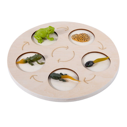 Children's Life Cycle Wooden Puzzle Toy