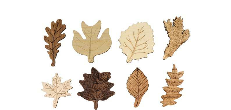 Leaf Identification Puzzle