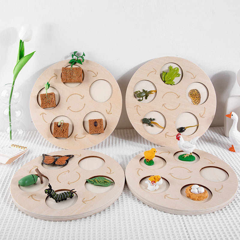 Children's Life Cycle Wooden Puzzle Toy