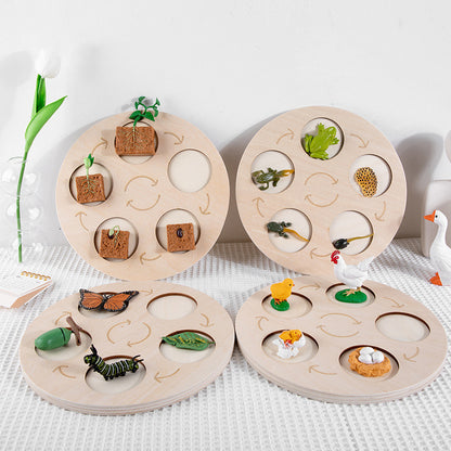 Children's Life Cycle Wooden Puzzle Toy