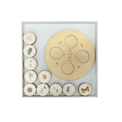 Children's Life Cycle Wooden Puzzle Toy
