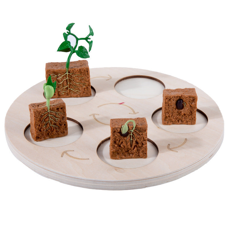Children's Life Cycle Wooden Puzzle Toy