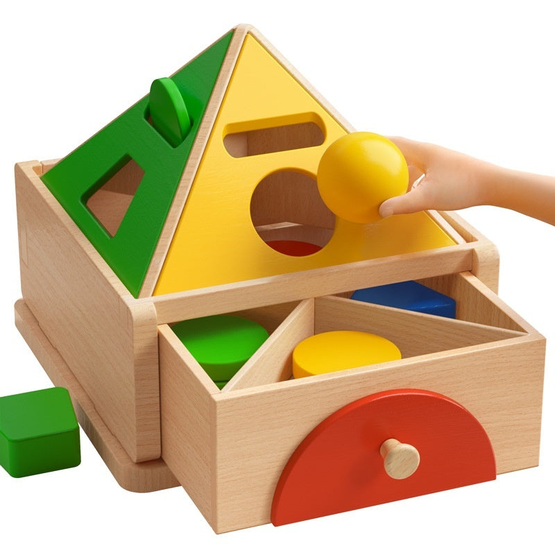 Wooden Shape & Coin Sorting Toy